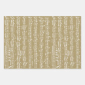 Elegant  handgeschreven notities — Muziek Inpakpapier Vel (Voorkant 2)