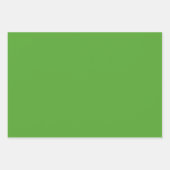 Elegant helder groen Minimalistisch en chique Inpakpapier Vel (Voorkant)