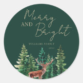 Elegant Herten Kerstmis Familienaam Ronde Sticker (Voorkant)