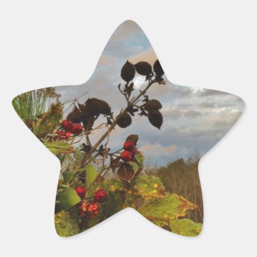 Elegant Holly Christmas, Ster Sticker (Voorkant)
