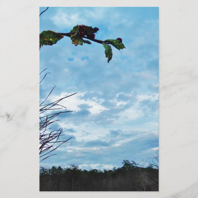 Elegant Holly Kerstmis, blauwe hemel (Voorkant)