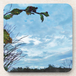 Elegant Holly Kerstmis, blauwe hemel Drankjes Onderzetter