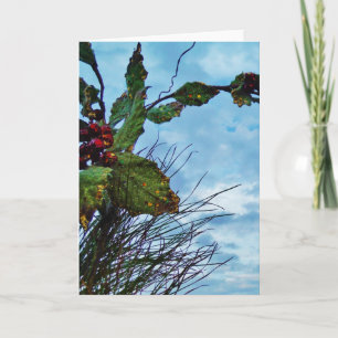 Elegant Holly Kerstmis, blauwe hemel Feestdagen Kaart