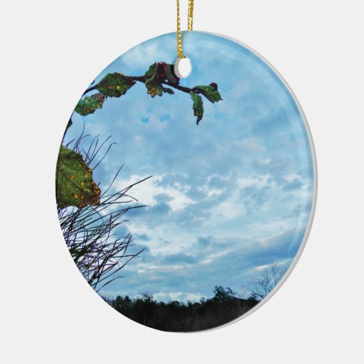 Elegant Holly Kerstmis, blauwe hemel Keramisch Ornament (Links)