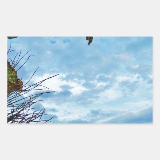 Elegant Holly Kerstmis, blauwe hemel Rechthoekige Sticker (Voorkant)