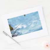 Elegant Holly Kerstmis, blauwe hemel Rechthoekige Sticker (Envelop)