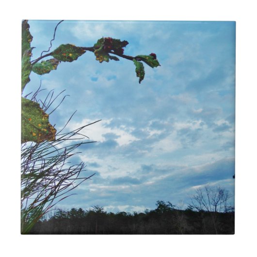 Elegant Holly Kerstmis, blauwe hemel Tegeltje (Voorkant)