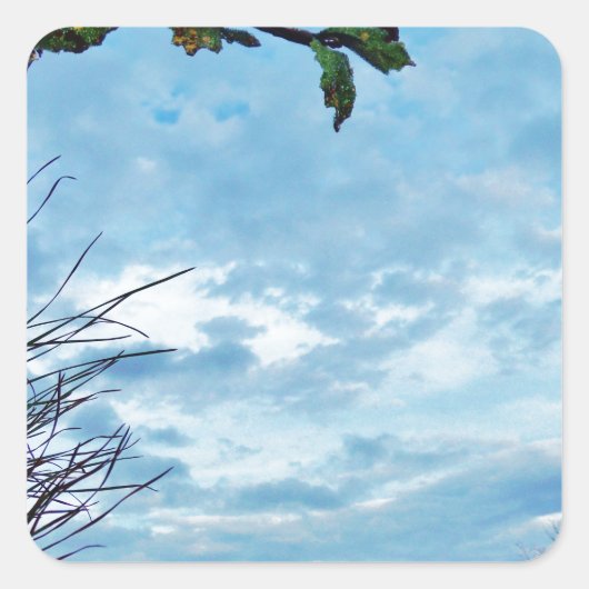 Elegant Holly Kerstmis, blauwe hemel Vierkante Sticker (Voorkant)