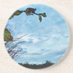 Elegant Holly Kerstmis, blauwe hemel Zandsteen Onderzetter