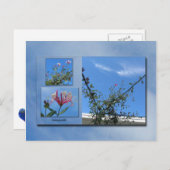 Elegant Honeysuckle Briefkaart (Voorkant / Achterkant)