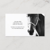 Elegant Horse Head Black White Visitekaartje (Achterkant)