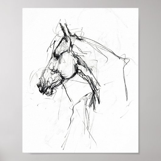 Elegant Horse Portrait Sketch - Premium Poster (Voorkant)
