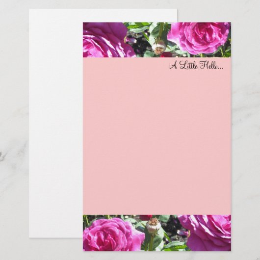 Elegant Hot Pink Rozen Briefpapier (Voorkant / Achterkant)