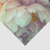 Elegant, hot-roze en crèmepapier voor peonies tissuepapier (Detail)