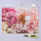 Elegant, hot-roze en crèmepapier voor peonies tissuepapier (Craft)