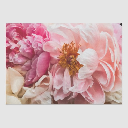 Elegant, hot-roze en crèmepapier voor peonies tissuepapier (Voorkant)
