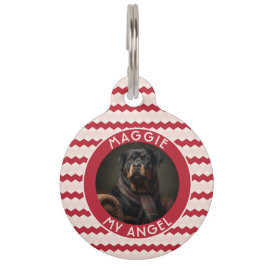 Elegant huisdier thema cadeau Chevron geometrie Huisdierpenning