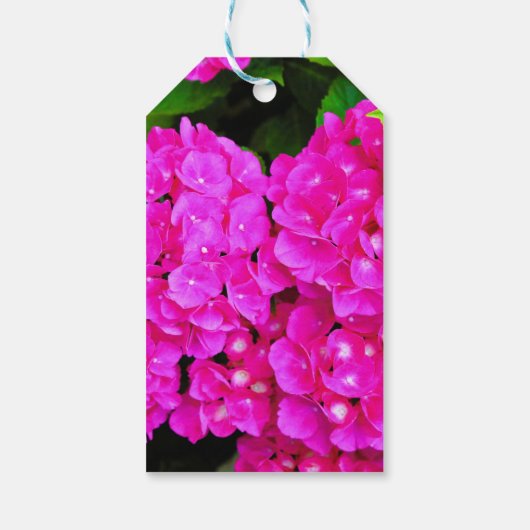 Elegant Hydrangea Floral Pink Cadeaulabel (Achterkant)