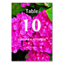 Elegant Hydrangea Pink Floral Blossom