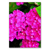 Elegant Hydrangea Pink Floral Blossom Kaart (Achterkant)