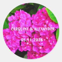 Elegant Hydrangea Pink Floral Foto Blossom