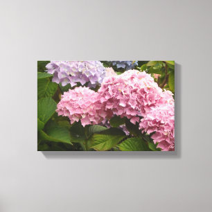 Elegant Hydrangeas Canvas Afdruk