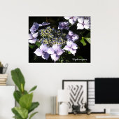 Elegant Hydrangeas Poster (Thuiskantoor)