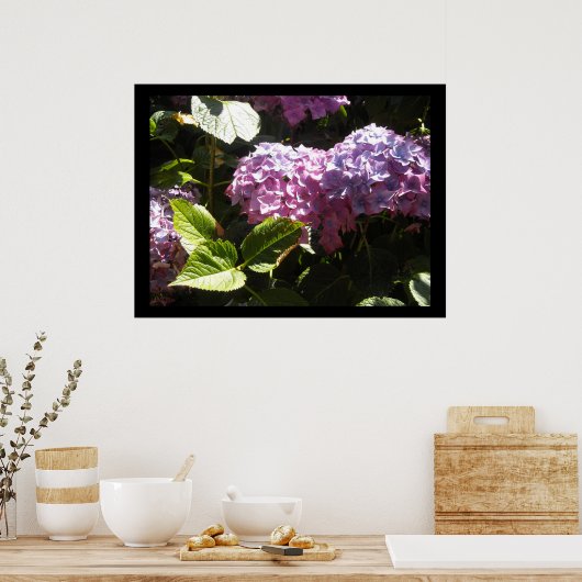 Elegant Hydrangeas Poster (Keuken)