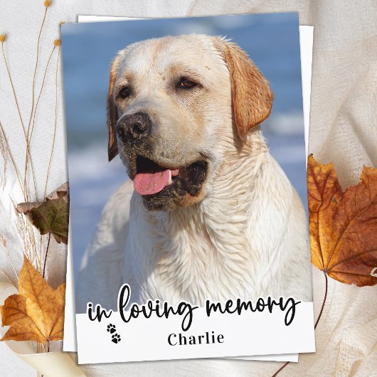 Elegant In Loving Memory Hond Pet Memorial Foto Bedankkaart