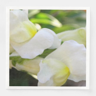 Elegant in wit servet