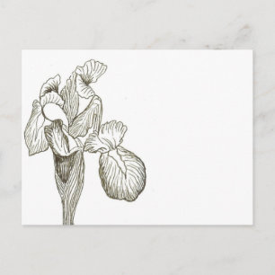 Elegant Iris Briefkaart