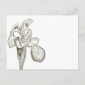 Elegant Iris Briefkaart (Voorkant)