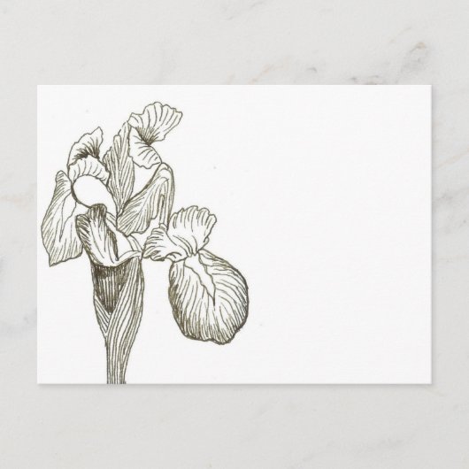 Elegant Iris Briefkaart (Voorkant)