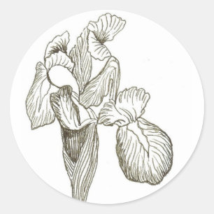 Elegant Iris Ronde Sticker