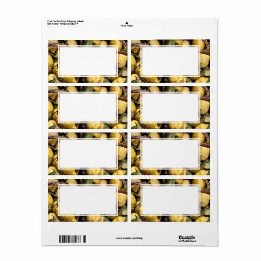 Elegant Italy Lemon Basket Amalfi Coast Lemons Etiket (Full Sheet)