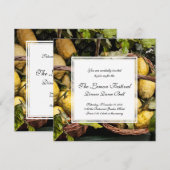 Elegant Italy Lemon Basket Amalfi Coast Lemons Kaart (Voorkant / Achterkant)