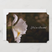 Elegant Ivory Orchid Earth Tone Weddenschap Kaart (Voorkant)