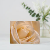 Elegant Ivory Roos Briefkaart (Staand voorkant)