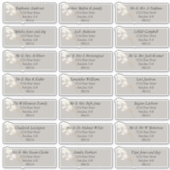 Elegant Ivory White Pampas Grass Sticker (Voorkant)