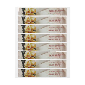 Elegant Ivory Yellow Roses Wrap Adresetiketten Adreslabel Wikkel