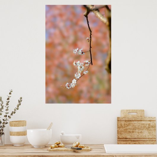 Elegant Japans prijsbloesems Poster (Keuken)