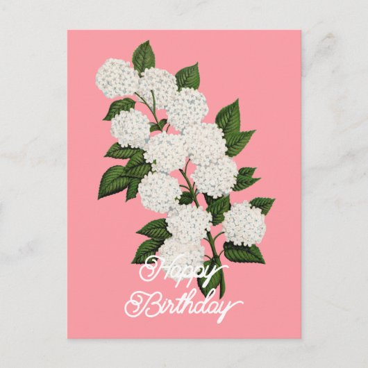 Elegant  Japans Sneeuwbal Happy Birthday Briefkaart (Voorkant)