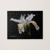 Elegant Japanse Crested Iris White Flowers Legpuzzel (Horizontaal)