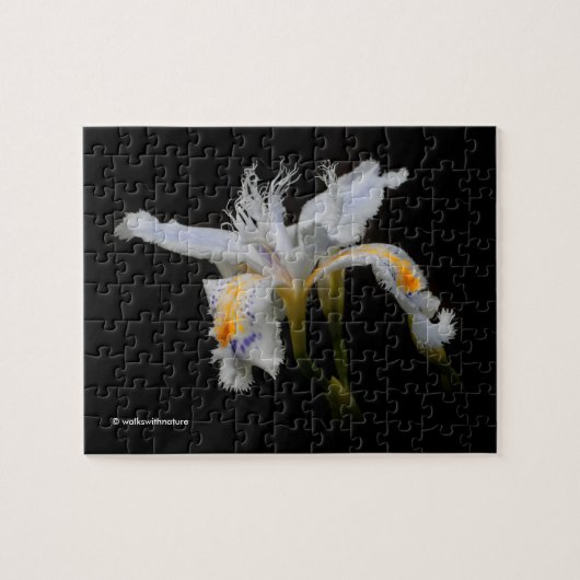 Elegant Japanse Crested Iris White Flowers Legpuzzel (Horizontaal)