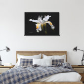 Elegant Japanse miniatuur Crested Iris op zwart Canvas Afdruk (Insitu (Slaapkamer))