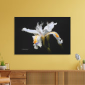 Elegant Japanse miniatuur Crested Iris op zwart Canvas Afdruk (Insitu (Woonkamer))