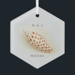 Elegant Junonia Beach Shell  Glas Ornament<br><div class="desc">Elegant Junonia Beach Shell Glass Ornament Deze perfecte Junonia strandschelp is gefotografeerd met macrofotografie met hoge resolutie en is te zien in het Junonia Beach Shell Collectie. Pas aan met uw Eerste Initialen en Naam of zoals gewenst. Junonia-weekdieren leven in kustwateren met een diepte van meer dan 100 voet, dus...</div>