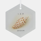 Elegant Junonia Beach Shell  Glas Ornament (Achterkant)