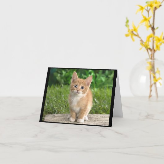 Elegant Kitty Notecard Kaart (Gele Bloem)