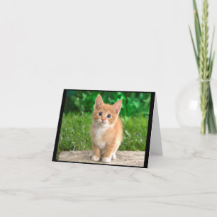 Elegant Kitty Notecard Kaart